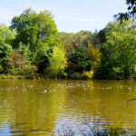 Canal Lagoon at Washington Crossing Park