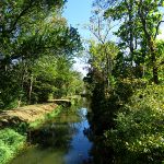 Ccan view South from Tinicum Aqueduct