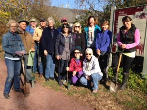 Daffodil planting at Lock 11