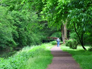 Person walking on the canal path