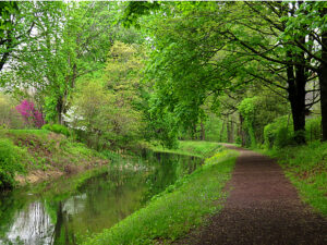 Delaware Canal and Towpath