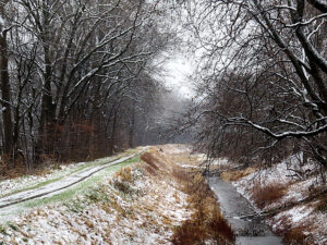 First snow on the towpath