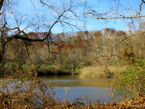 The Giving Pond
