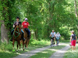 Horse, bikes and dog walkers on the towpath