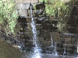 Leaking stone walls at the Tinicum Aqueduct