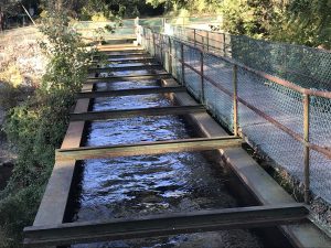 rusint trough of Tinicum Aqueduct