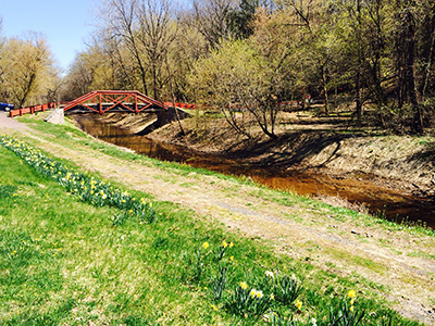 Canal in Virginia Forrest Recreation Area