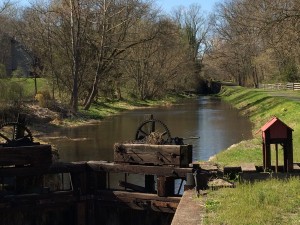 Looking north from Lock 14 in Point Pleasant